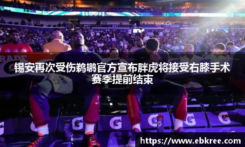 优游国际平台