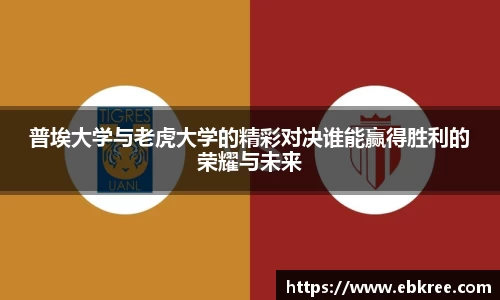 优游国际app