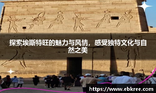 优游国际平台